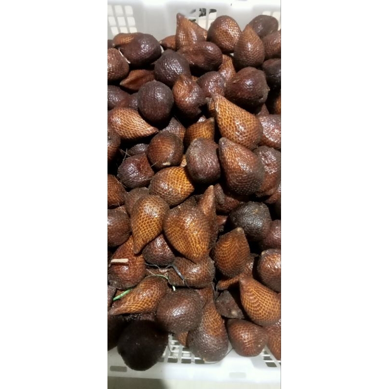 

salakpondoh