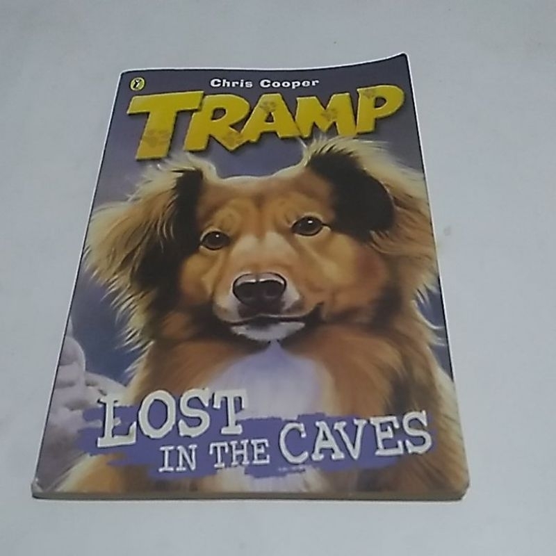 LOST IN THE CAVES