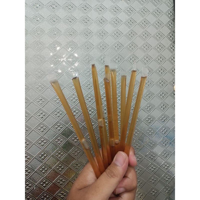 

Honeystik
