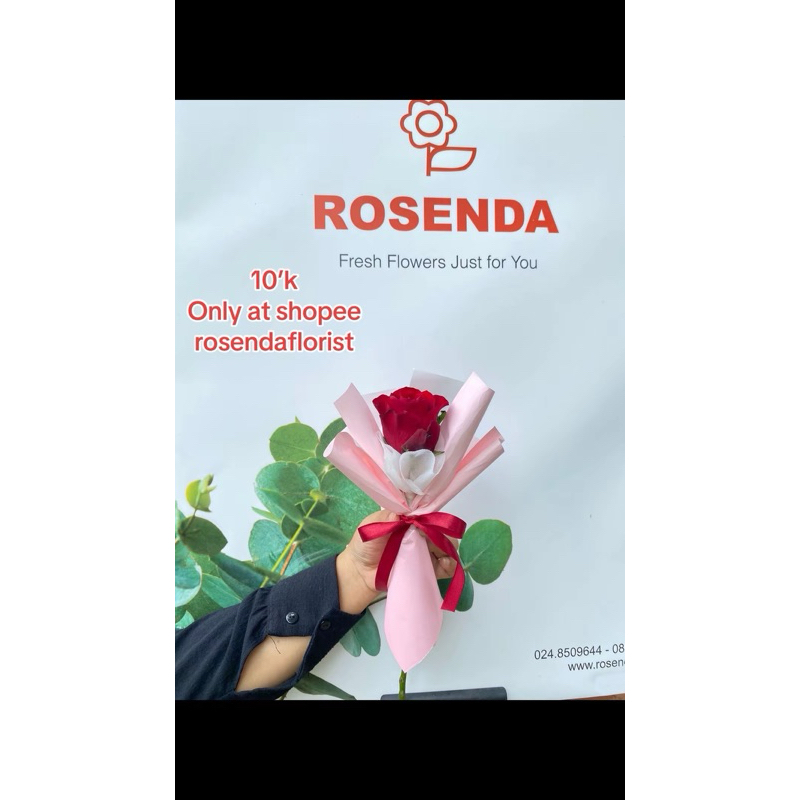 FRESH ROSE BOUQUET 1 STEM - BUKET BUNGA MAWAR SEGAR / BUCKET BUNGA SEGAR / BUKET BUNGA ASLI / BOUQUE