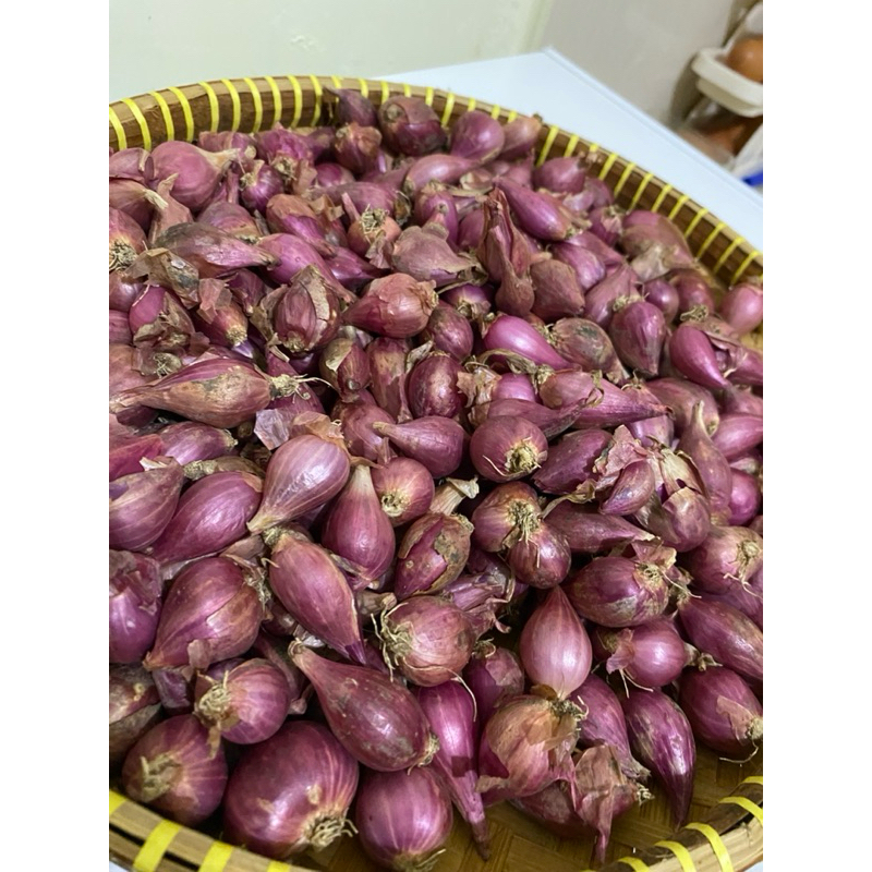 

Bawang Merah Brebes