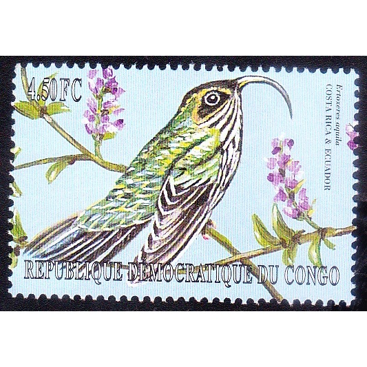 

A 11350 SATU BUAH PRANGKO TEMA BURUNG ERTOLERES AQNILA DARI COSTARICA DAN ECUADOR DENGAN KONDISI MNH MINT NEVER HINGED