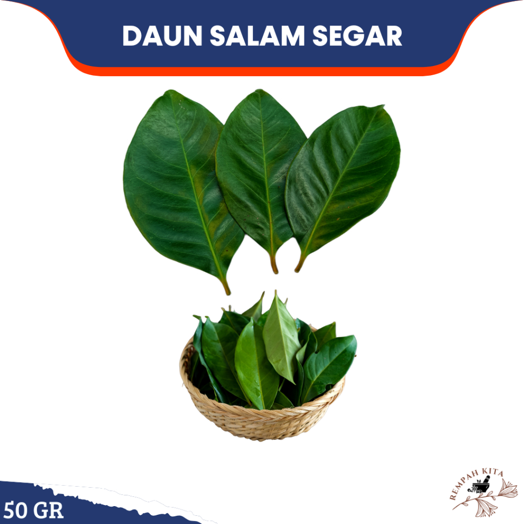 

Daun Salam Segar 50 gram Fresh Segar Rempah bumbu masak bay leaf