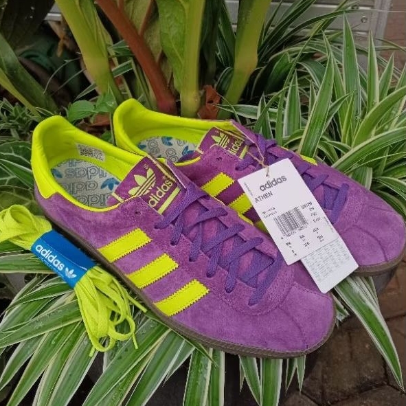Adidas Athen Purplee