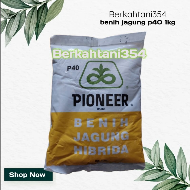 Benih jagung p40 1kg Bibit jagung pioner p 40 original Benih jagung pioneer p40 1kg pioner p35 pione