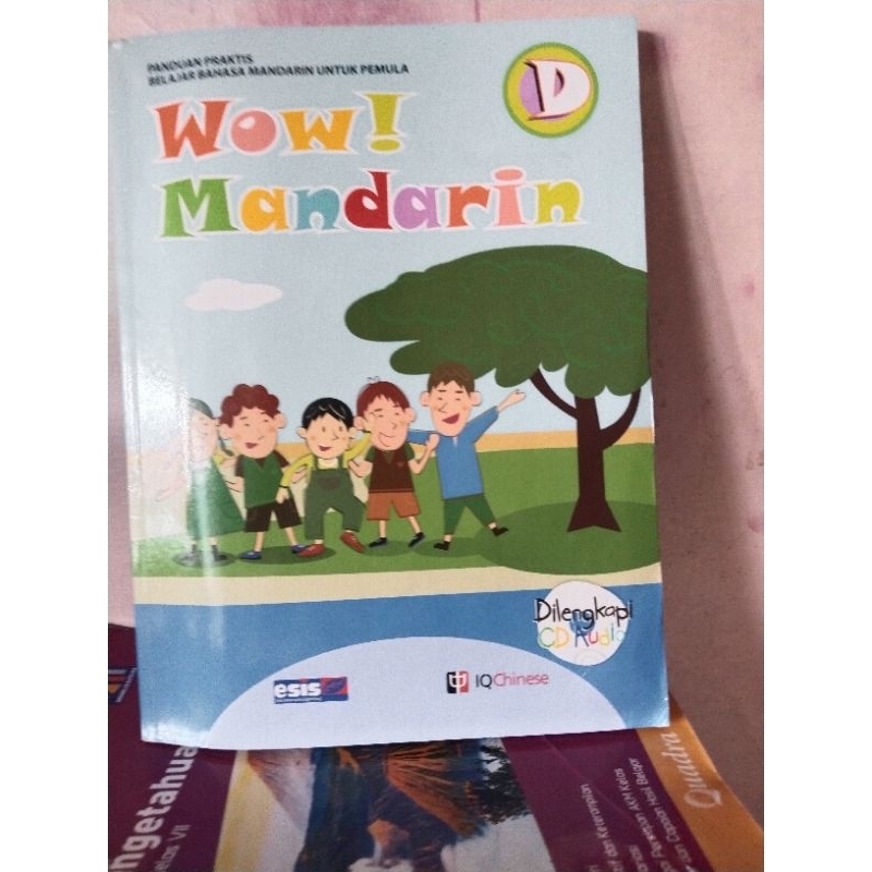 buku wow mandarin D