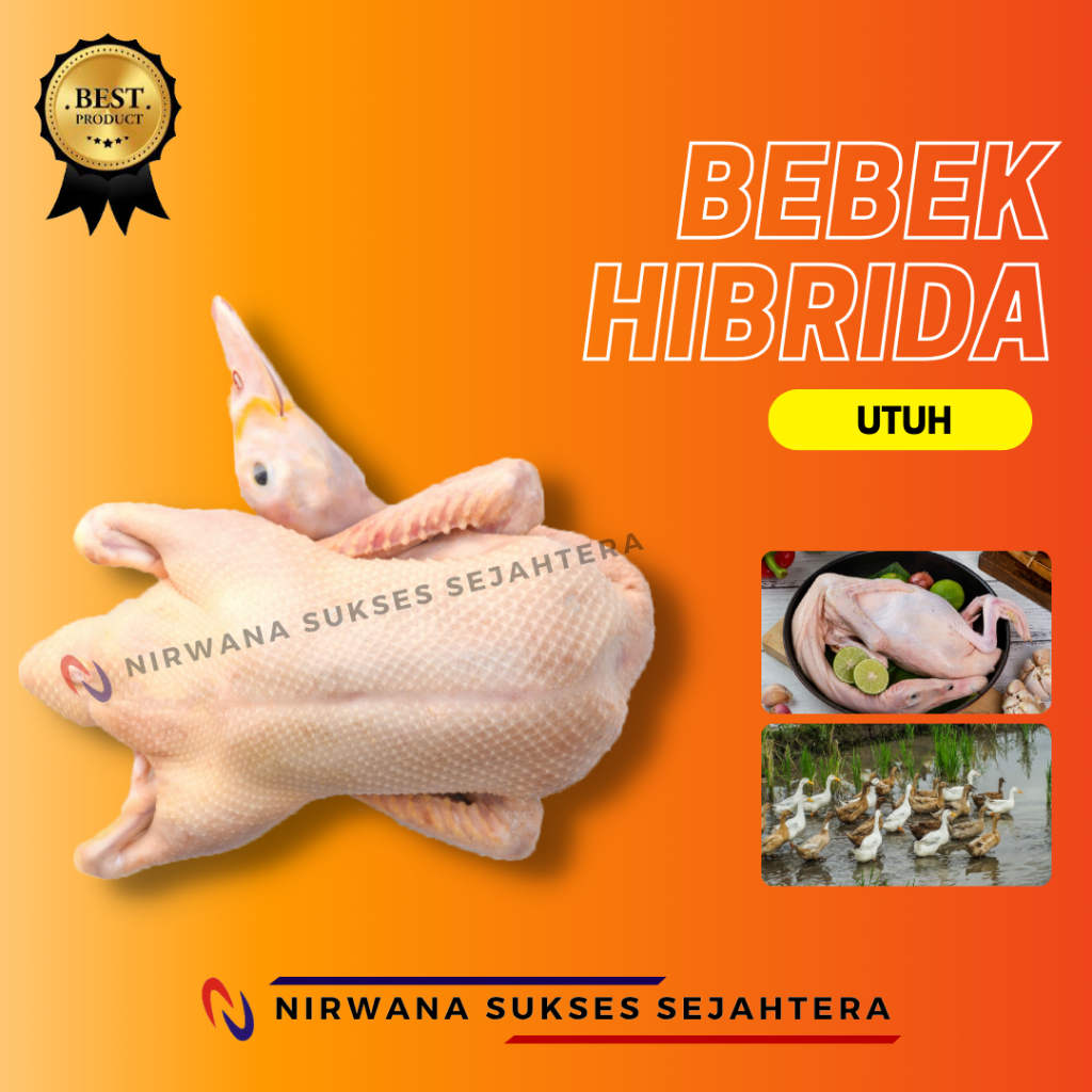 

BEBEK HIBRIDA, SILANGAN UTUH / WHOLE HYBRID DUCK