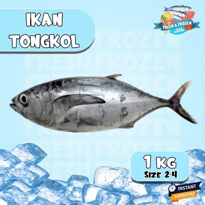 

Ikan Tongkol Ayam 1kg size 2-4 pcs Frozen Beku