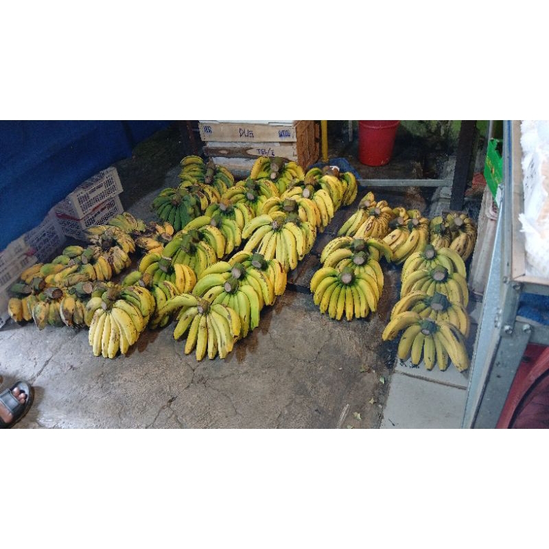 

pisang ambon sukabumi