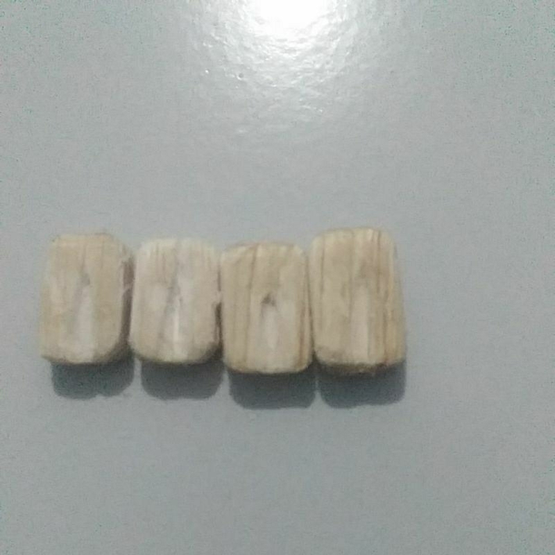 Spion miniatur truk Plastik