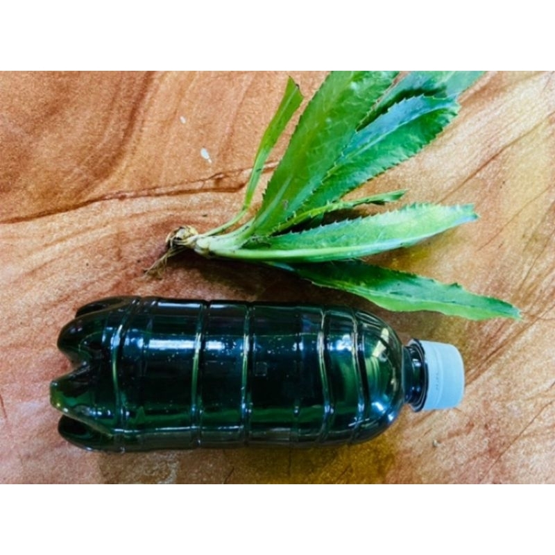 Essen walang sangit esen walang isi 200 ml-az