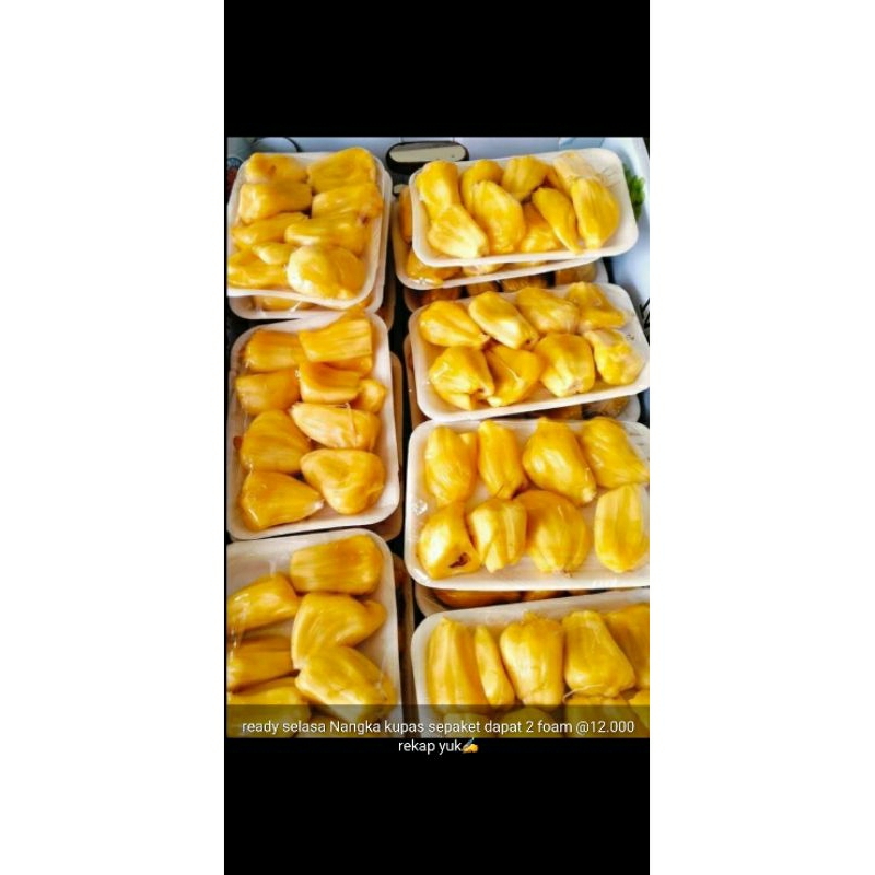 

nangka muda