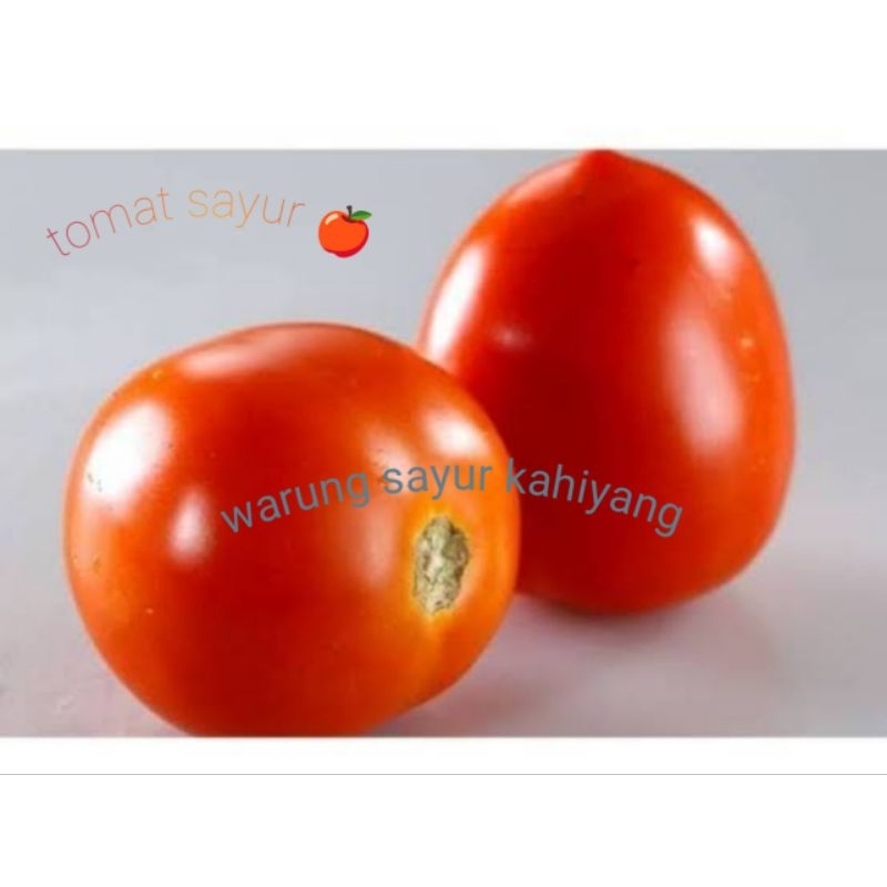 

Tomat sayur segar 500gr