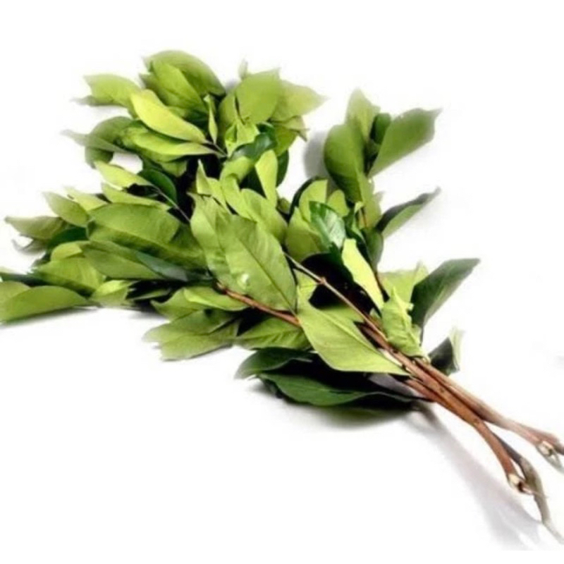 

Daun Salam 1 ikat