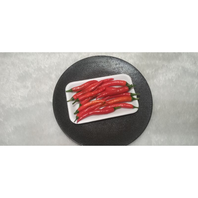 

cabe merah besar