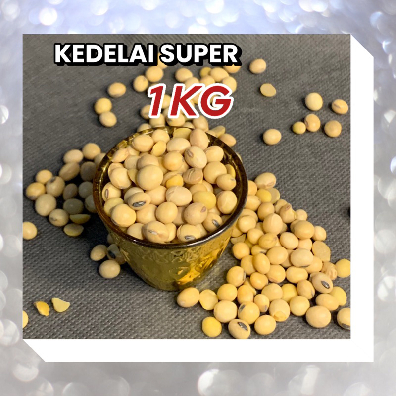 

KACANG KEDELAI 1 KG SUPER COCOK UNTUK MEMBUAT TEMPE ATAU SUSU/SARI KEDELAI
