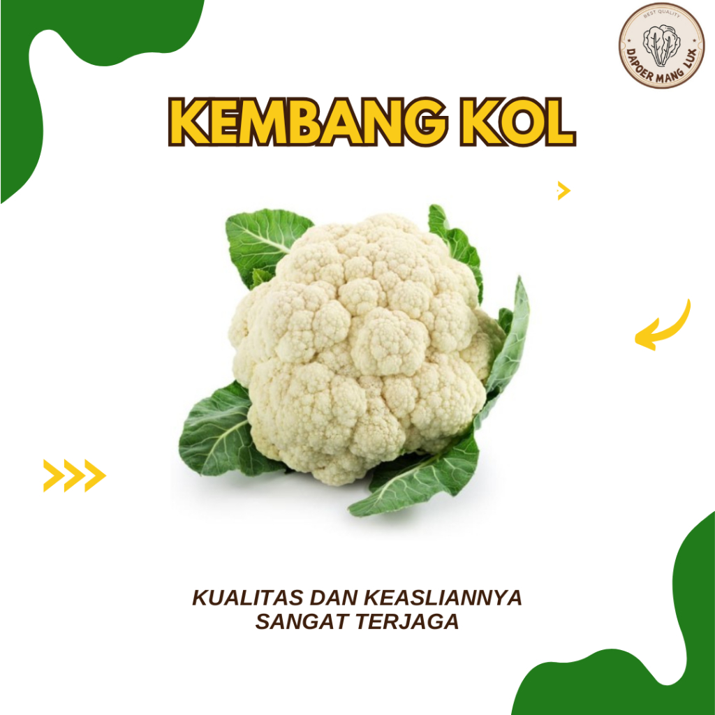 

KEMBANG KOL 1 PCS FRESH BEST QUALITY