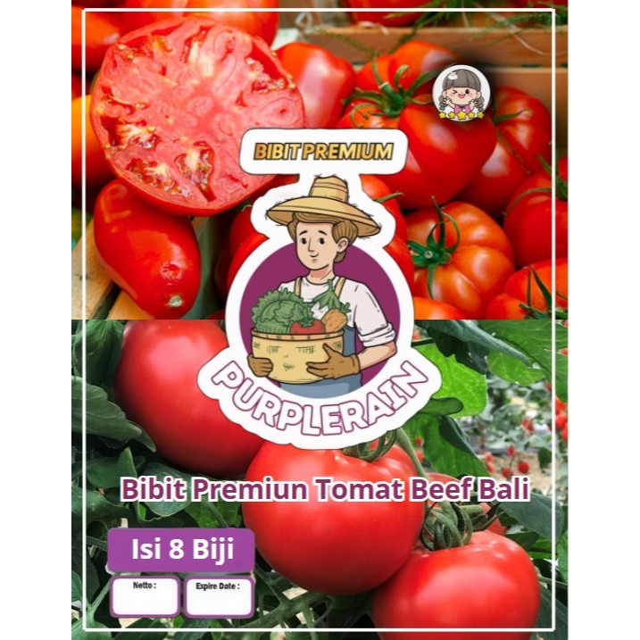Bibit Unggul Tomat Beef Bali | Biji Benih Tomat Beef Bali F1