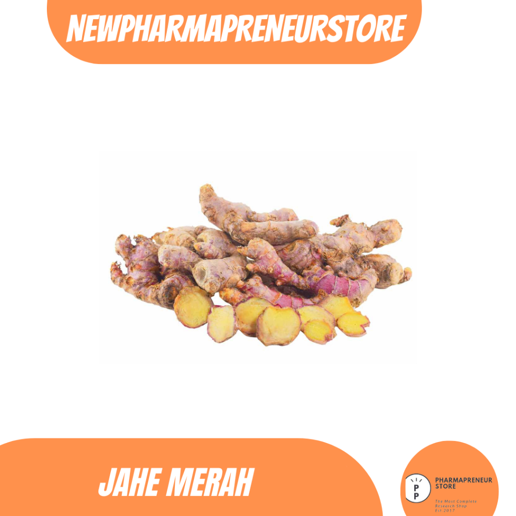 

DRIED SERBUK JAHE MERAH BEST QUALITY