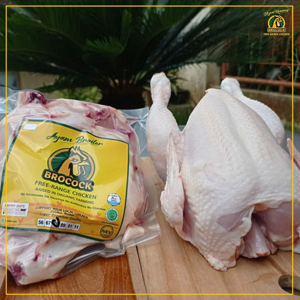 

Ayam Broiler Brocock Utuh