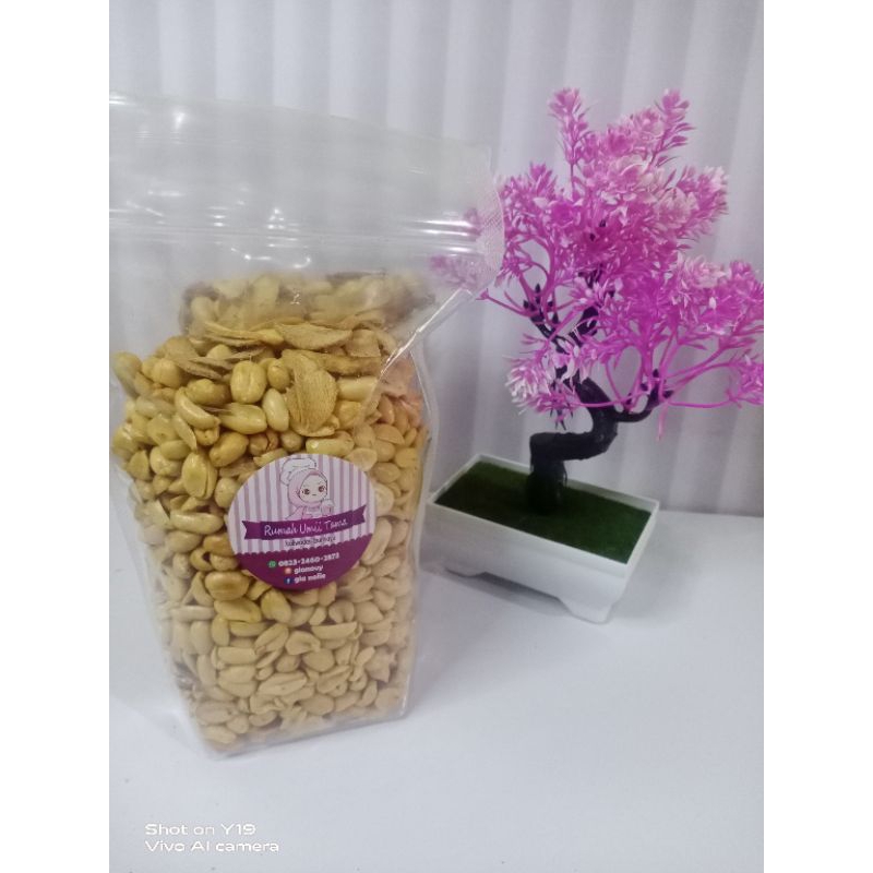 

kacang bawang 500gram
