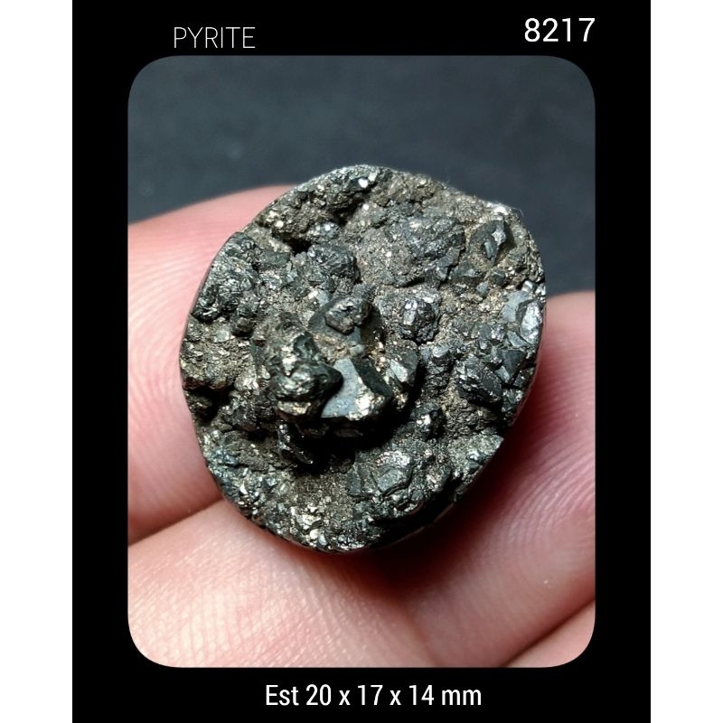 8217 Batu Pyrite Badar Emas