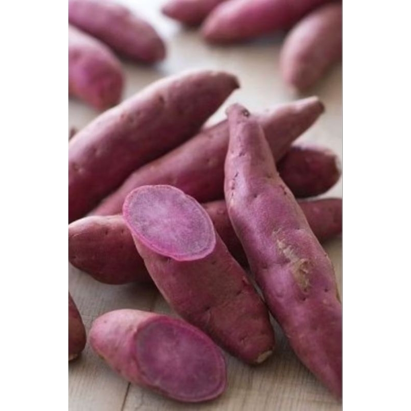 

Ubi ungu manis empur 1 kg