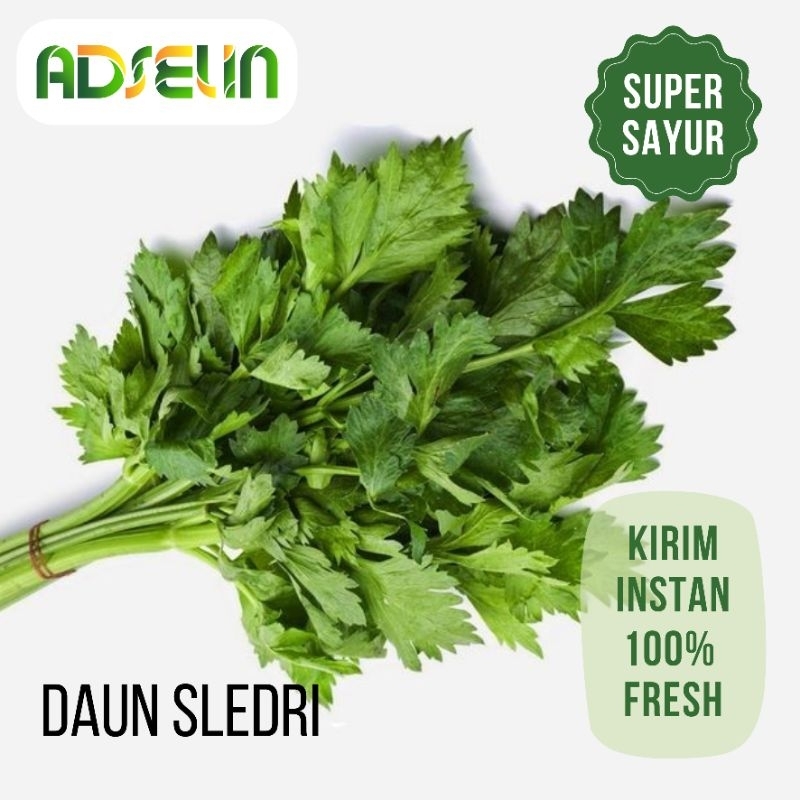 

Daun Seledri Segar 1 Ikat Bersih Kirim Instan Sayuran Adselin