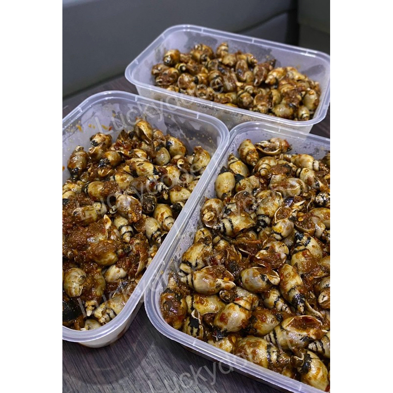 

Siput khas leidong