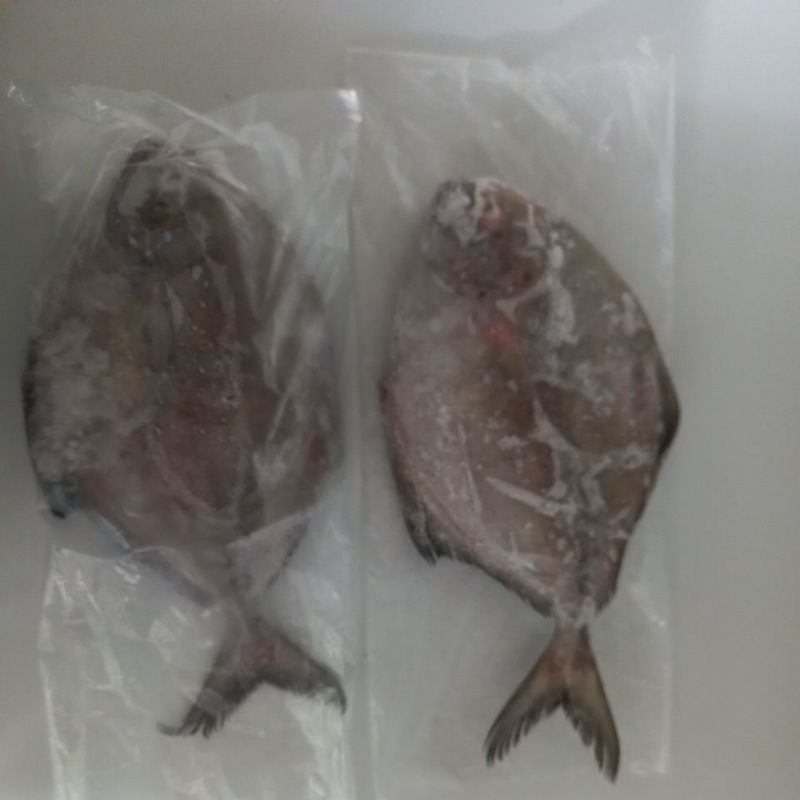 

Bawal Hitam Laut 1kg & 2kg