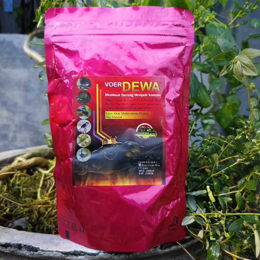 VOER DEWA VOER PRENJAK PLECI CIBLEK TINGGI PROTEIN PENGGACOR SEMUA JENIS BURUNG MASTERAN