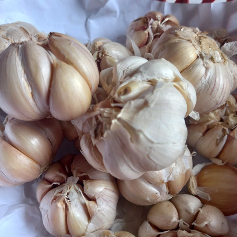 

Bawang Putih 1000g