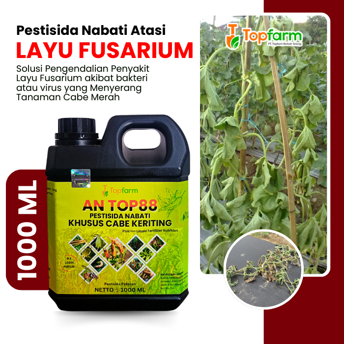 Insektisida Topfarm / Insektisida Cabai / Insektisida Kutu Daun Cabai / Insektisida Lalat Buah Cabai
