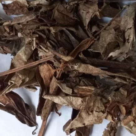 

daun sirih kering 100gr