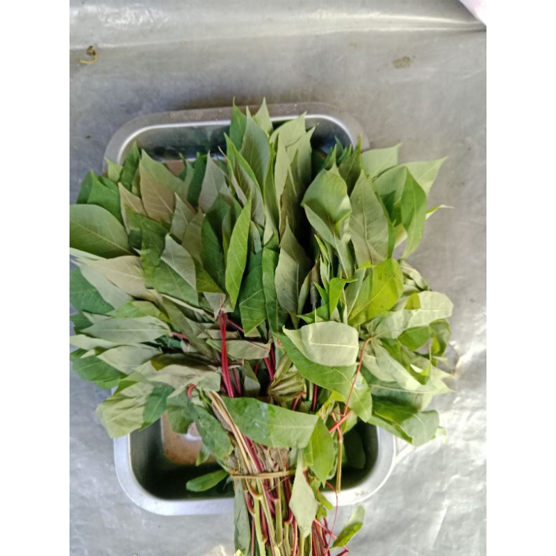 

dau singkong muda per ikat mang sayur