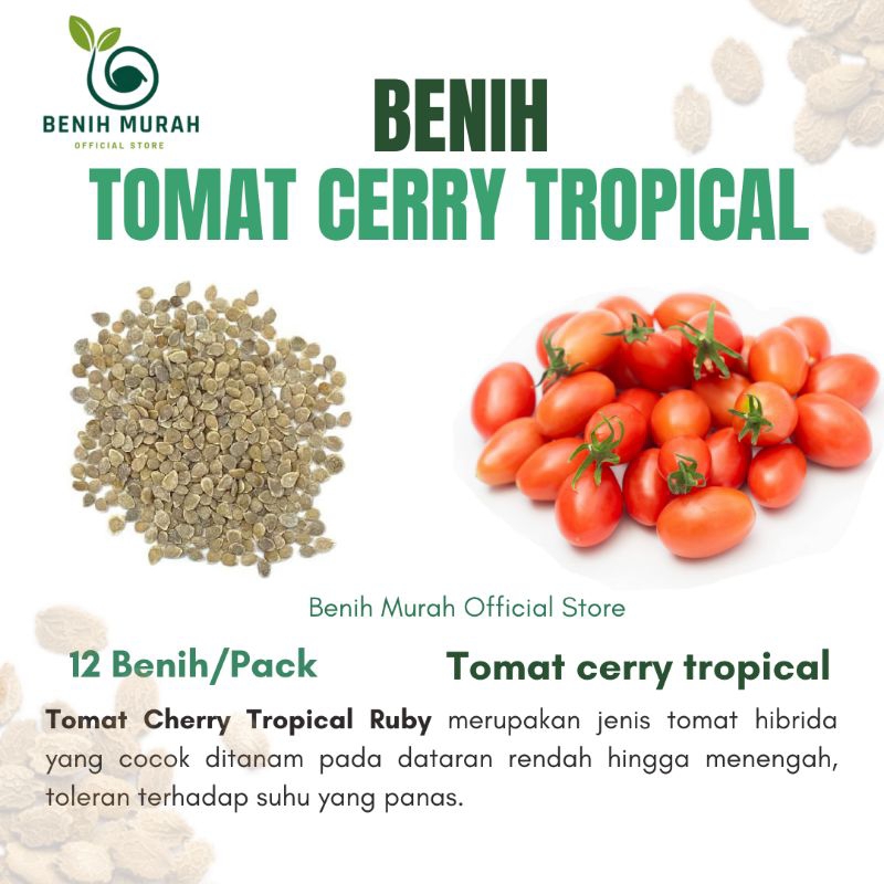 

Benih Tomat CERRY Tropical Ruby / Bibit Tomat Ceri Tropical Rubi Unggul