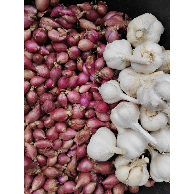 

paket bawang merah 750gr bawang putih kating 250gr (total 1kilo gram)TERMURAH!!!