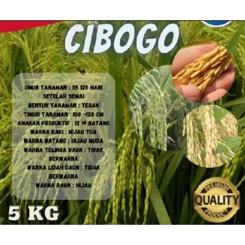 benih padi Cibogo kemasan 5Kg