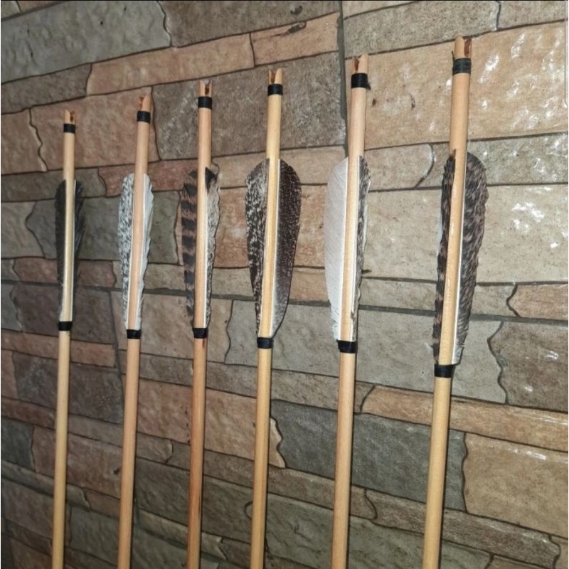 arrow spruce vanes bulu kalkun