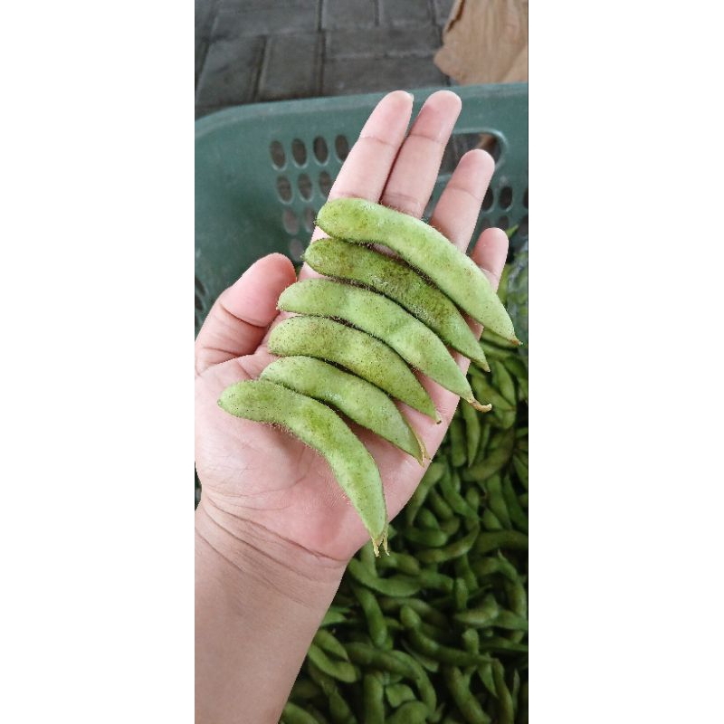 

EDAMAME