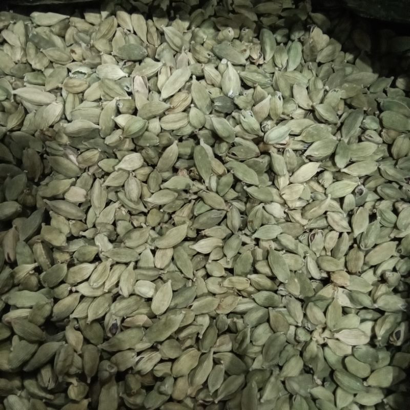 

kapulaga hijau 250gr,500gr&1kg kapulaga arab kapulaga segar kapulaga india