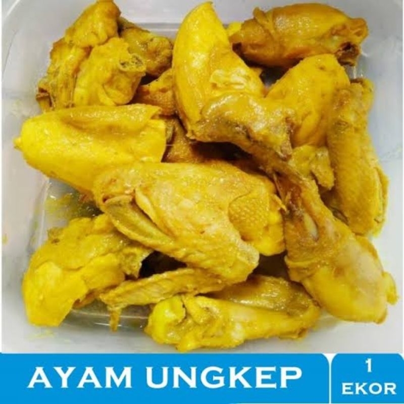 

AYAM UNGKEP BUMBU KUNING 1 ekor 1kg (ayam siap goreng)