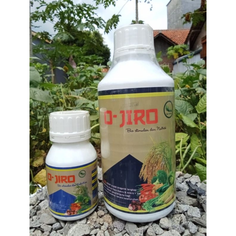 Nutrisi Tanaman OJIRO pembesar umbi dan buah