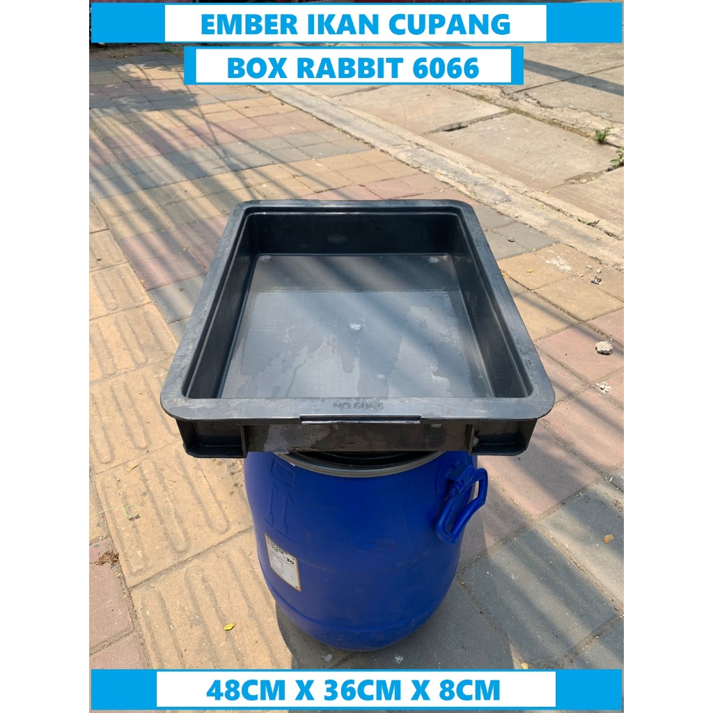 Box Container Industri / Box Rabbit 6066 / Box Plastik Bekas / Nampan