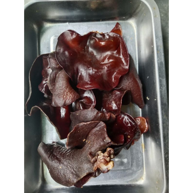 

jamur kuping lember 250gr