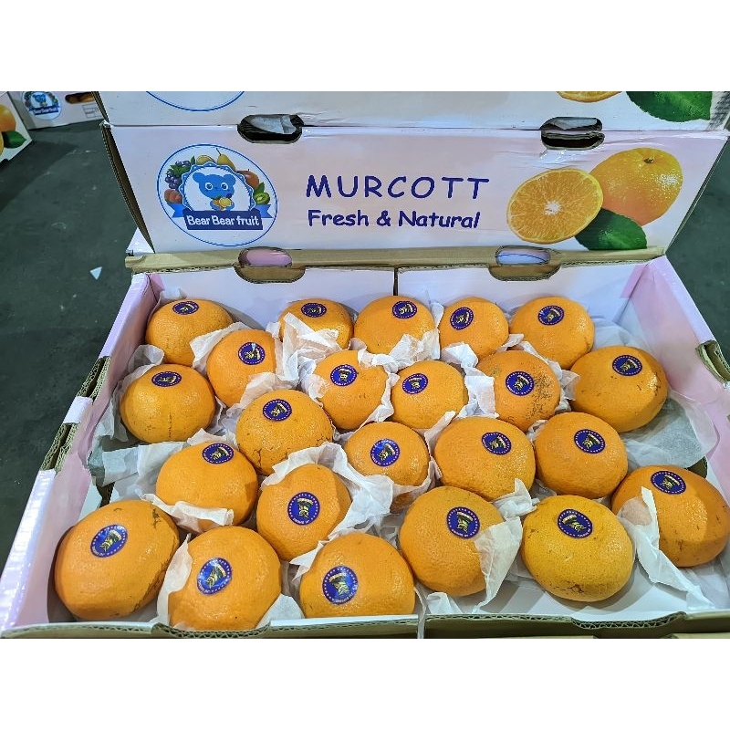 

Jeruk murcot 1kg