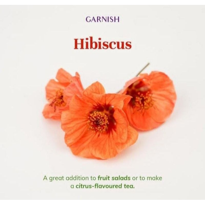 

Hibiscus