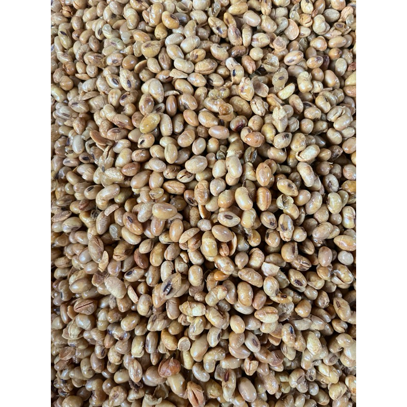 

Kacang Kedelai Bawang