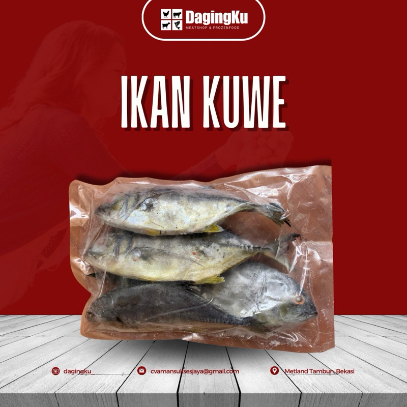 

Ikan Kuwe Fresh Frozen/Ikan Kue/kuwe Halal