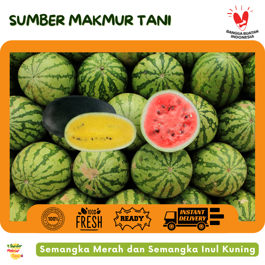 

[TERMURAH] Buah Semangka Inul Segar / Fresh Watermelon – Manis, Segar & Kaya Nutrisi, Cocok untuk Camilan Sehat dan Minuman Segar